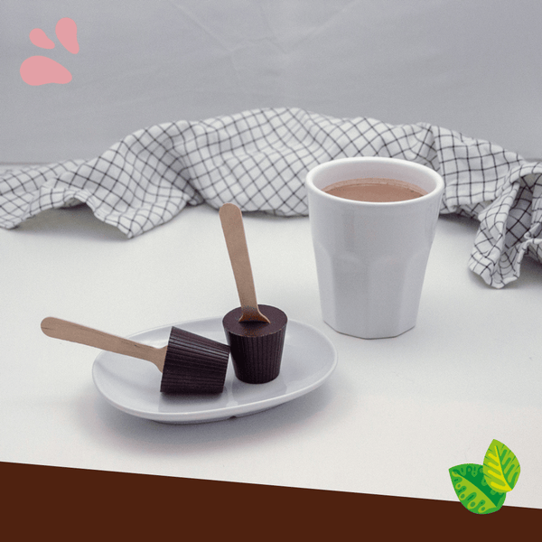 Cuillère à chocolat chaud (2 pièces) – Mi Joya chocolate maker